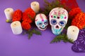 Day of the dead. Dia De Los Muertos celebration background. Sugar Skull, marigolds or cempasuchil flowers. Royalty Free Stock Photo