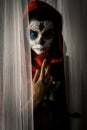 Day of the dead girl Royalty Free Stock Photo