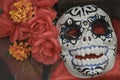 Day of the dead mask Royalty Free Stock Photo