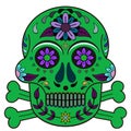 Day of The Dead, skull with floral ornament, apple green, violet, dark grey, jade, purple colors, white background