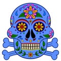 Day of The Dead, skull with floral ornament, light sky blue, dark aqua, navy, red, pink, green, orange colors, white background