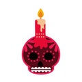 Day of the dead, skull flower and candle decoration mexican celebration icon flat style