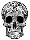 day of the dead skull white background bw coloring page , generated by AI.