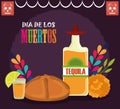 Day of the dead, tequila bottle bread flowers mexican celebration