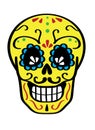 Day of the dead vector illustration of color skull. Hand sketched for postcard.