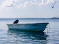 After a day of fishing in the Caribbean serenity