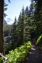 Day-Hiking Mount Rainier National Park