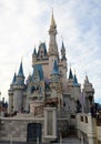 Day image of the Magic Kingdom Castle