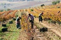 Day laborers working in the field on a vintage day