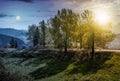 Day and night concept. range of poplar trees by the road on hill Royalty Free Stock Photo