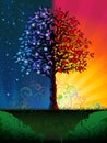 Day and night tree Royalty Free Stock Photo