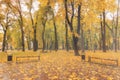 Day park with yellow maple leaves, pavement and benches behind wet rainy glass in golden autumn. The concept of bad weather, Royalty Free Stock Photo