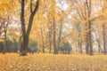 Day park with yellow maple leaves, pavement and benches behind wet rainy glass in golden autumn. The concept of bad weather, Royalty Free Stock Photo