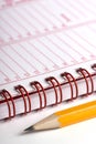 Day planner Royalty Free Stock Photo