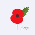 Day of Remembrance for the Victims of World War II. poppy symbol of memory