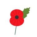 Day of Remembrance for the Victims of World War II. poppy symbol of memory