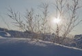 Day Sun in winter