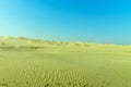Day time in the desert, a safari in Abu Dhabi.Clear blue sky, beautiful day Royalty Free Stock Photo