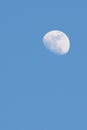 Day time moon Royalty Free Stock Photo