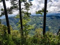 Three trees chiang mai thailand north outside nature hiking peak doi pui view point day trip tourist jungle forest