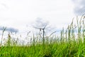 Day view wind power turbines generate electricity Royalty Free Stock Photo