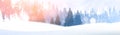Day In Winter Forest Glowing Snow Under Sunshine Woodland Landscape White Snowy Pine Tree Woods Background