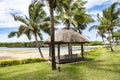 Daybeds under palms in luxury resort in tropes