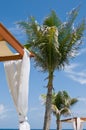 Daybeds at luxury tropical spa, palm trees