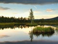 Daybreak autumn lake. Mirror water level in mysterious forest, young birch tree on island in middle.