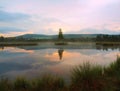 Daybreak autumn lake. Mirror water level in mysterious forest, young birch tree on island in middle.