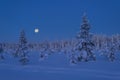 Daybreak with moon.Winter in Lapland, Sweden, Norrbotten Royalty Free Stock Photo