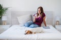 Daydreaming caucasian woman at home working on laptop and mobile phone while cute jack russell dog resting on bed. Home office, Royalty Free Stock Photo