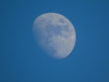 Daylight moon shines bright in evening blue sky over St Andrews Royalty Free Stock Photo