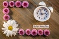 Daylight Saving Time concept with Pink Chrysanthemums and clock on wood background flat lay Royalty Free Stock Photo