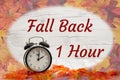 Daylight Savings Fall Back message with alarm clock with fall leaves Royalty Free Stock Photo