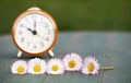 Daylight savings concept, clock and flowers Royalty Free Stock Photo