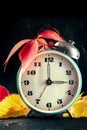 Daylight Savings Time concept, fall back in autumn. A retro alarm clock Royalty Free Stock Photo