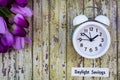 Daylight Savings Time Spring concept top down view with white clock and purple tulips Royalty Free Stock Photo