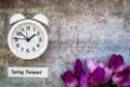 Daylight Savings Time Spring Forward concept top down view with white clock and purple tulips Royalty Free Stock Photo