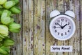 Daylight Savings Time Spring Ahead concept top down view with white clock and green tulips