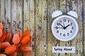 Daylight Savings Time Spring Ahead concept top down view with white clock and orange tulips Royalty Free Stock Photo