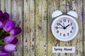 Daylight Savings Time Spring Ahead concept top down view with white clock and purple tulips Royalty Free Stock Photo