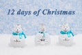 12 days of Christmas message with snowman and snow with snowy sky