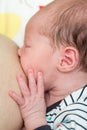 8 days old newborn baby girl during breastfeeding Royalty Free Stock Photo