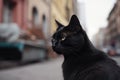 Daytime, city street, black cat. Symbol of superstition. Generative AI