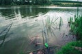 Daytime fishing in the summer on a pond.