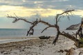 a daytime seascape with a withered tree in the foreground, a shattered boat on the middle ground and mountains in the background Royalty Free Stock Photo