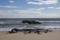 Daytime stock photo of rocks off of beach shoreline Royalty Free Stock Photo