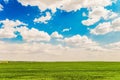 Daytime summer landscape with a green meadow under a blue cloudy sky
