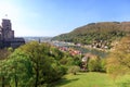 Daytime view of Heidelberg from a height. Bridge, river Necka, old town, trees with green leaves, mountain.